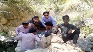 Picnic Party Mashup From Dalwal's Wild's