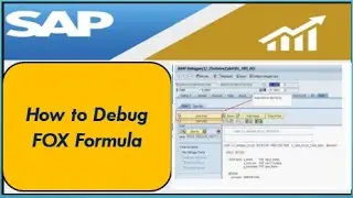 How to debug FOX formula with SAP Standard Method | FOX formula debugging for SAP BW IP or HANA BPC