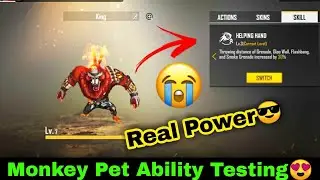 Free Fire Beaston Pet Ability Test | Free Fire Monkey Pet Ability | Monkey Pet Ki Ability Kya Hai