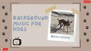 Puppy Beach Walk &ndash; Relaxing Dog Music for Calm and Peace | RSA_Patron