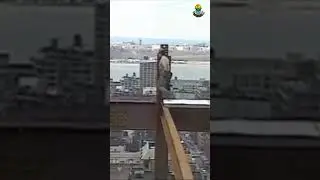 Joe Rogan Appreciating Ironworker Albert Stalk.