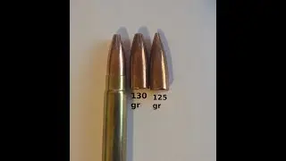 300 Ham'r ep4 - 130 grain Speer Hollow Point i guess