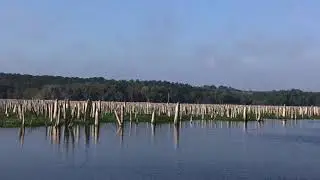 RODMAN RESERVOIR March 5 2020 full draw down