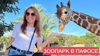 ЗООПАРК в ПАФОСЕ. Кипр 2023