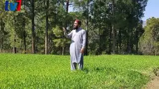 Teray hai hum teray hai| new naat 2019| by Asim shah| Tv 1