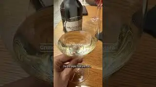 Wine Tasting in Vienna