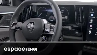 steering wheel, paddles and e-shifter lever