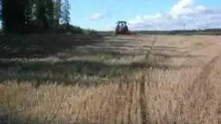 Potila HKK 19 -kultivaattori