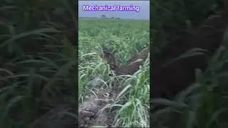 #farming #automobile #agriculture #tractor #technology #support #pakistan #india