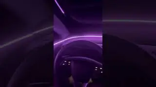 Tesla light sync 2025.26.4! #tesla #model3 #performance #highland #lightshow #rave