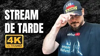 Stream de TARDE &iquest;Hay NERVIOSISMO? &iquest;FRAUDE? &iquest;FALTA DE LITIO?