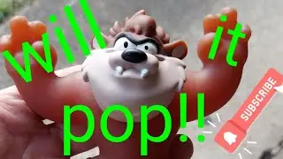 Goo jit zu Tasmania devil filled with water