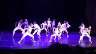 Dancer Palooza 2017 the Collective show 2