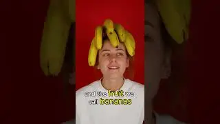 Food Fact#008: Bananas Don&rsquo;t Grow on Trees 🌿🍌 #Shorts