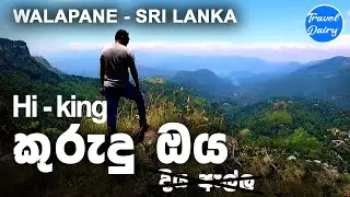 කුරුඳු ඔය ඇල්ලට | Must watch befor you go Kurundu Oya Ella Sri Lanka | travel with shala