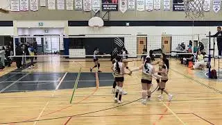 Lpam 2026 Brown VS Black #volleyball #sportsteam #viral #volleyballteam 