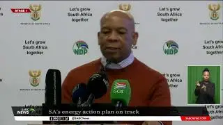 Energy Crisis | SA's Energy Action Plan on track: Electricity minister Kgosientsho Ramokgopa