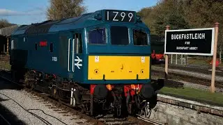 South Devon Railway Diesel Gala 2018