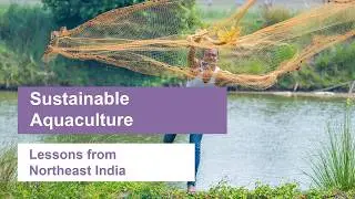Sustainable Aquaculture for Food and Livelihood