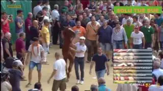 Assegnazione di Solu Tue Due alla Selva - Palio 2 luglio 2017