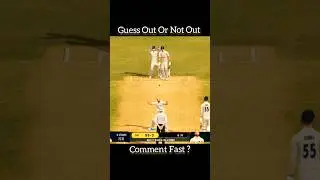Guess Out Or Not Out 👀😱🔥? Real Cricket Swipe #gaming #cricket #realcricketswipe #shorts #cricketgame