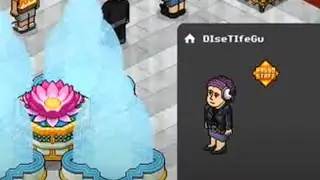 Nueva staff DIseTIfeGu ''23 nov 2009'' Habbo.ES (Archivo Historico) Actual Vercebu