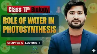 The Role of Water in Photosynthesis | Class 11 Biology Chapter 6 | Irtisam's Biology
