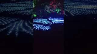 Cool Christmas Light Show (Lightscape at San Diego Botanic Garden)