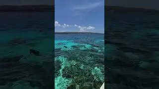 Snorkeling di pulau tomia bersama tamu Thailand 