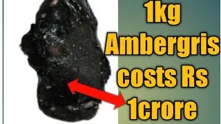 Ambergris explained in Kannada /# whale vomit /#details about whale vomit /#floating gold explained