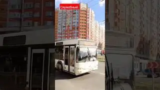 МАЗ-103.562 Г/Н [Х 193 ХХ 32] СЛУЖЕБНЫЙ 🚌