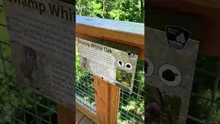 Blacklick Canopy Walk - Reynoldsburg, Ohio