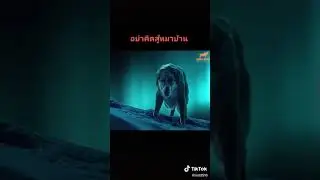 el perro pelea con lobos