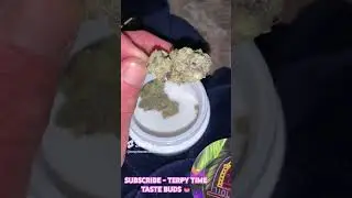 TERPY TIME TASTE BUDS - 710 LABS - GREASE BUCKET #9 ​⁠ #710labs #bayarea #cannabis #cali