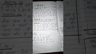 lesson plan/ file/social science /path yojna B.Ed 1 year