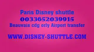 Paris Disney shuttle cdg orly beauvais Disneyland private transfers Paris minivan transport taxi Par