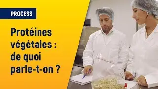 Protéines végétales : de quoi parle-t-on ? | Axéréal | Intact
