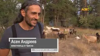 ЗЕМЕДЕЛИЕ НА ФОКУС