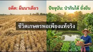 จากผืนนาเดียว สู่ป่ากินได้! ชีวิตเกษตรพอเพียงแท้จริง 🌱