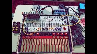 Buchla Easel 5-15-26 (modular synth dark ambient)