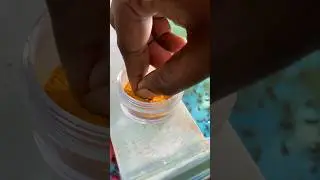 First feeding for flowerhorn fish babies | decapsulated artemia | #shorts #flowerhornfish