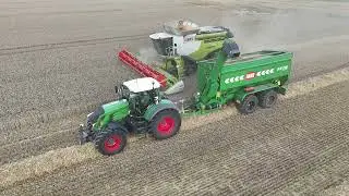 Weizenernte Lexion 7700 und Lexion 770, Fendt 930 mit Überladewagen - wheat harvest