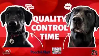 Quality Control Labradors Alfie & Archie &ldquo;Test&rdquo; Every Pooch & Mutt Delivery  (Duck & Rosemary Wins!)