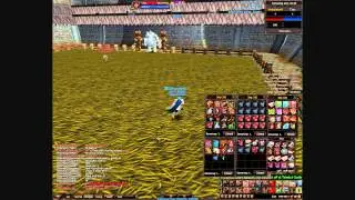 4story tournament final Archer vs Warrior