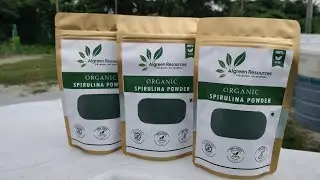 Automated Spirulina Farm Algreen Resources - Product Reveal