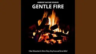 Soft Hearth Fire Glow