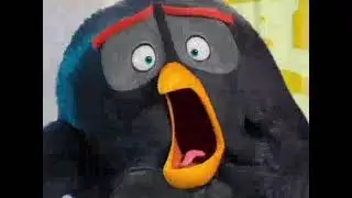 Ambatukam choir angry birds meme