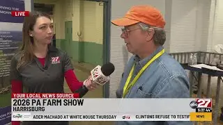 Sheep are for more than just wool at the PA Farm Show