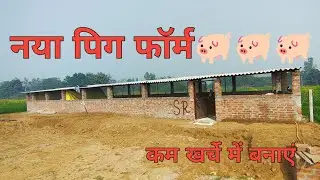नया शुगर पालन फार्म डिजाइन New pig farm structure