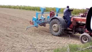 Spwra kalampokiou 2017 TSAVALAKOGLOU